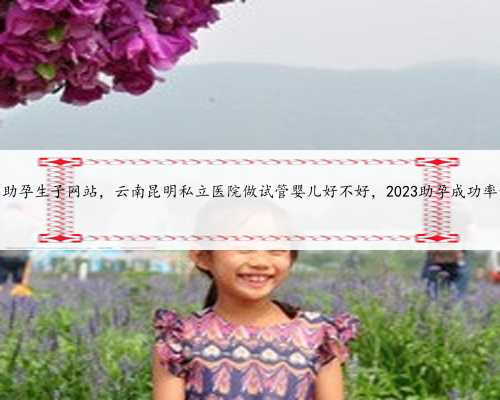 昆明助孕生子网站，云南昆明私立医院做试管婴儿好不好，2023助孕成功率预估