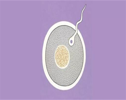 AMH是什么｜想着测测看还能快活多久再生娃…