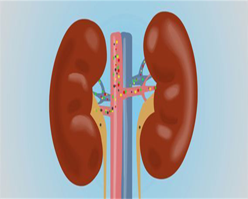 始基子宫和幼稚子宫的区别