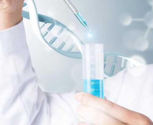 培养7天的囊胚就一定比5天的质量差吗？