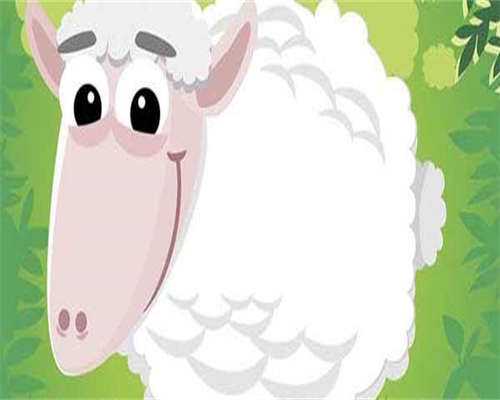 双子宫能生育吗