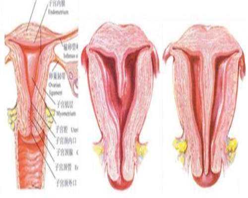 备孕期艾灸的好处多吗