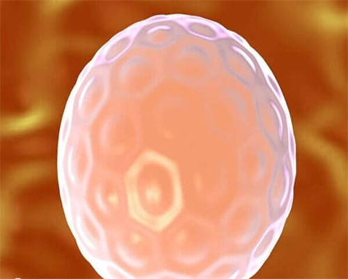 昆明私立试管婴儿包生男孩代怀机构排名，附详细费用成功率？
						