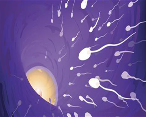 昆明三代试管婴儿价格多少
						