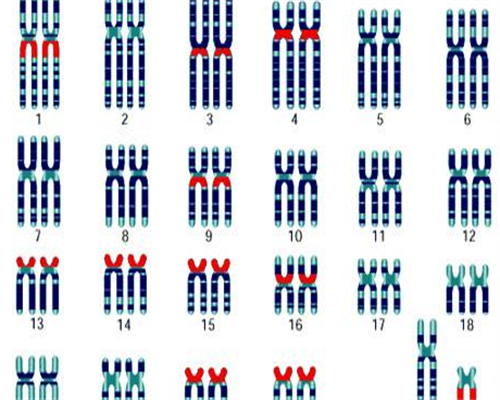 代生最权威：昆明能做试管婴儿的医院？