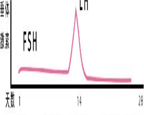 昆明做第三代试管比较厉害的医院有哪些