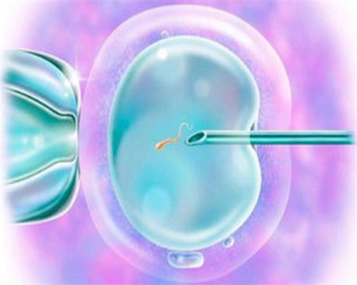 昆明正规助孕机构排名首位是哪家,高成功率是真是假