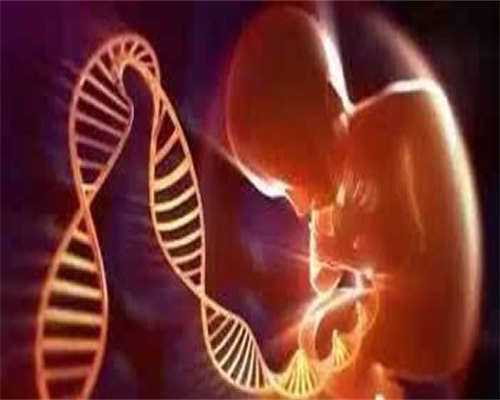 昆明辅助生育_昆明供卵方案公司,昆明哪个医院第三代试管婴儿！要5万吗？