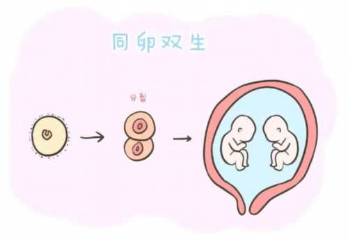 2026年昆明做试管婴儿多少钱！各系列价格揭晓！