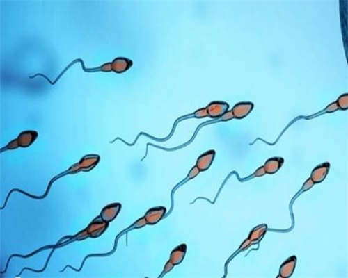 代怀专业吗_内蒙代孕供卵网,肾炎患者怀孕后孩子能不能要？肾炎怀孕了小孩能