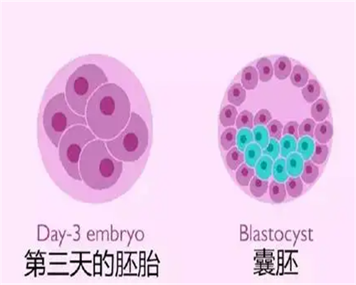 供卵医生电话：备孕期间适合喝什么茶这几种茶最适合备孕期间