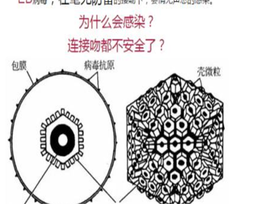 助孕捐卵：怀孕60天没有胎心胎芽怎么办