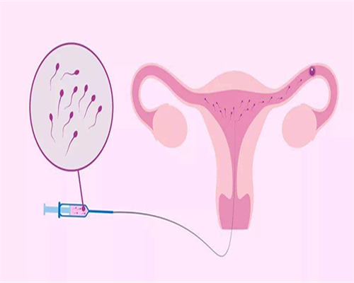 供卵增卵机构：秋天备孕什么茶适合喝？怀胎了不行吃茶吗？