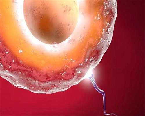 子宫肌瘤会变成子宫癌吗