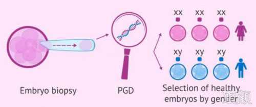 昆明代生男宝宝_昆明供卵试管合同,昆明市妇产保健院人工授精多少钱！昆明做