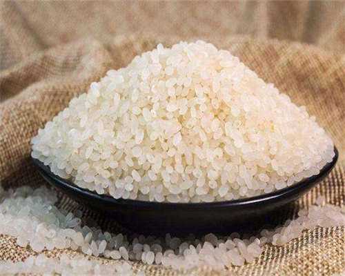 提供代怀价格：双胞胎健康奥秘