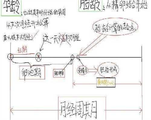 代生包儿子：试管代数，一代更比一代强吗?